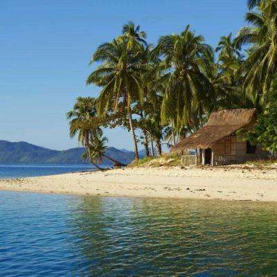 Kaiyun(云开)体育App(官方)手机app下载截图